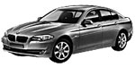 BMW F10 C20C9 Fault Code